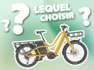Guide d'achat et comparaison de vélos lontails cargo