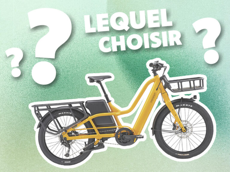 Guide d'achat et comparaison de vélos lontails cargo